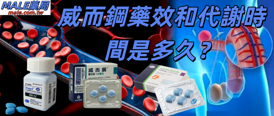 威而鋼藥效可以維持多久？多長時間會完全代謝掉？