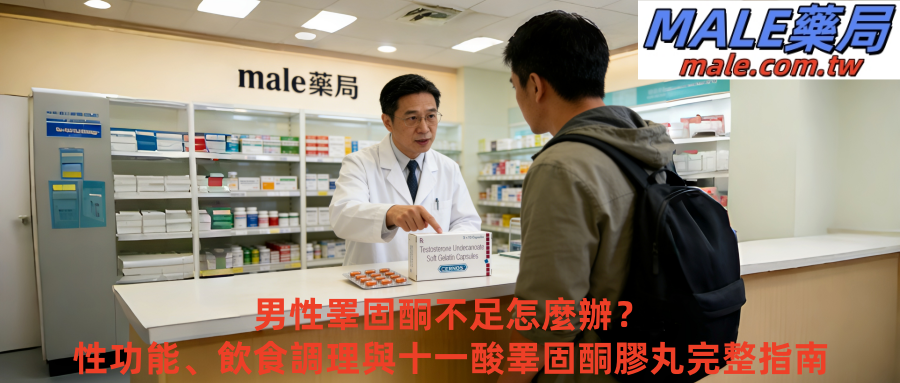 男性睪固酮不足怎麼辦？性功能、飲食調理與十一酸睪固酮膠丸完整指南